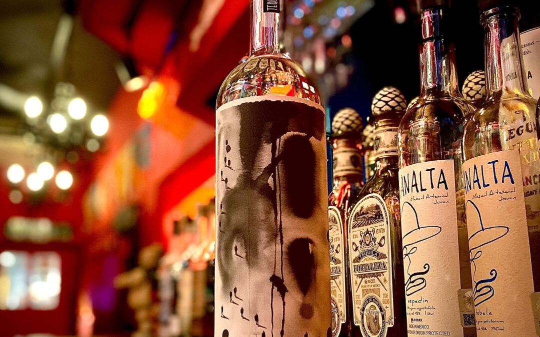 【新入荷テキーラ】