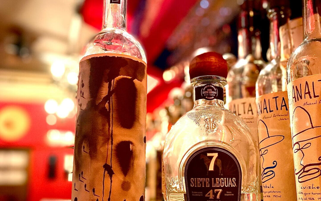 昨晩「ザギンでファフィータとメスカルをキメる女」ことサチコ様