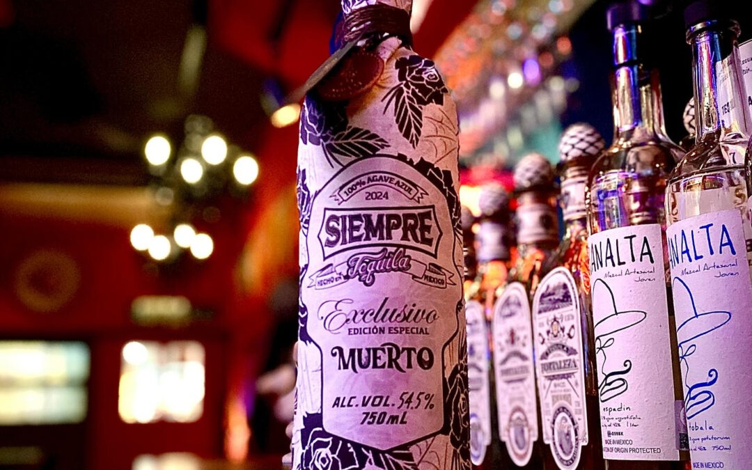 【新入荷テキーラ】